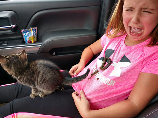 ¡Elyse Ha Obtenido Un Nuevo Gatito Hoy! Han Compartido Un Vínculo En El Camino A Casa