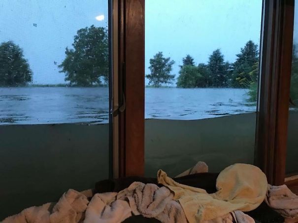 Tal Vez Un Exceso De Lluvia