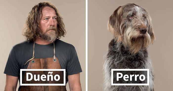 Este fotógrafo coloca lado a lado a perros y sus dueños, y el parecido es increíble