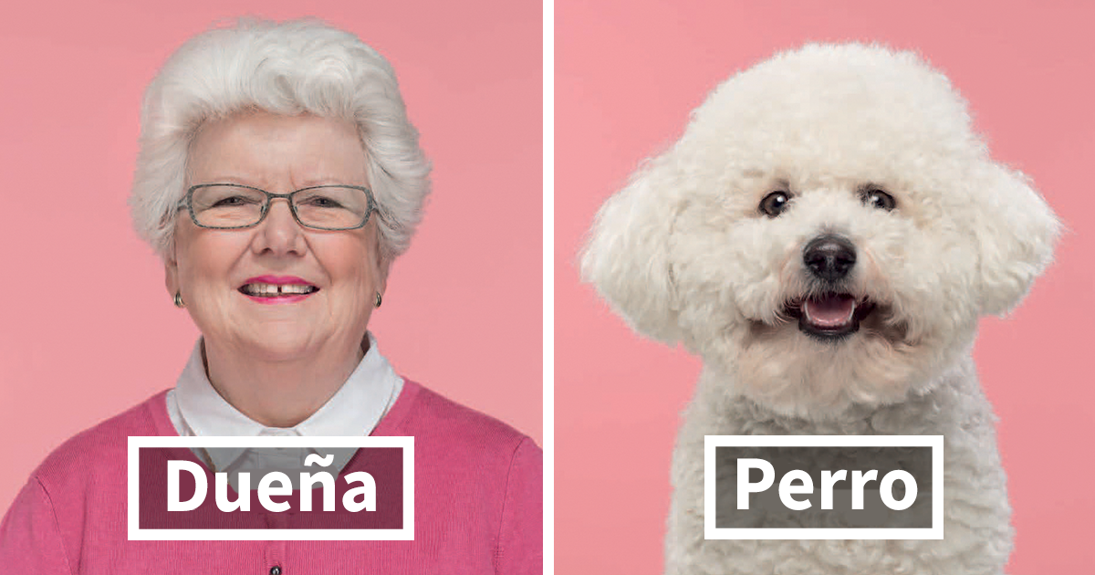 Este fotógrafo coloca lado a lado a perros y sus dueños, y el parecido es increíble