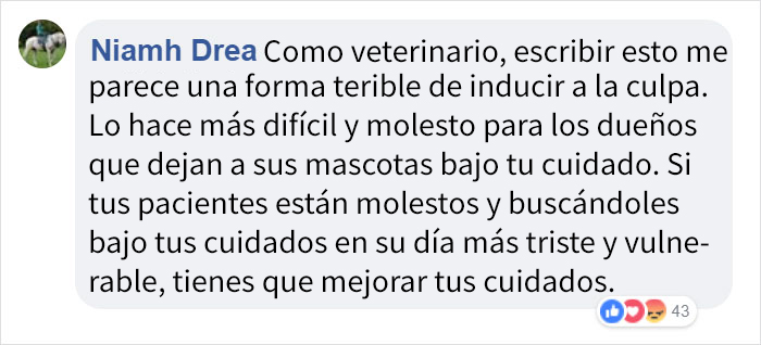 muertemascotas-11