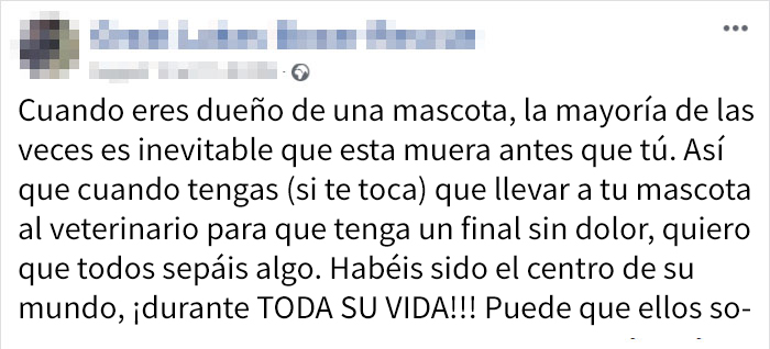 muertemascotas-4