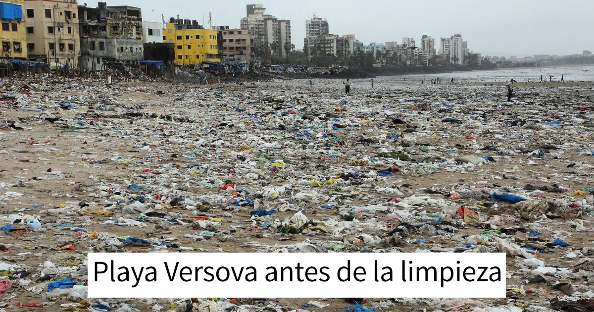 Por 1ª vez en 20 años, las tortugas vuelven a esta playa india tras ser limpiada, demostrando que podemos marcar la diferencia
