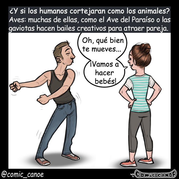 cortejoanimal-1