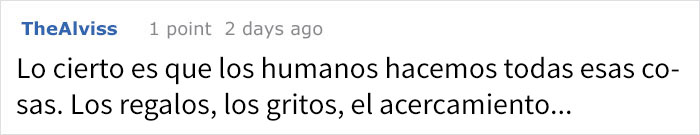 cortejoanimal-11