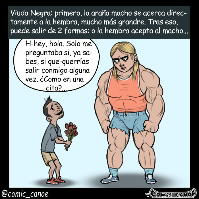 cortejoanimal-4