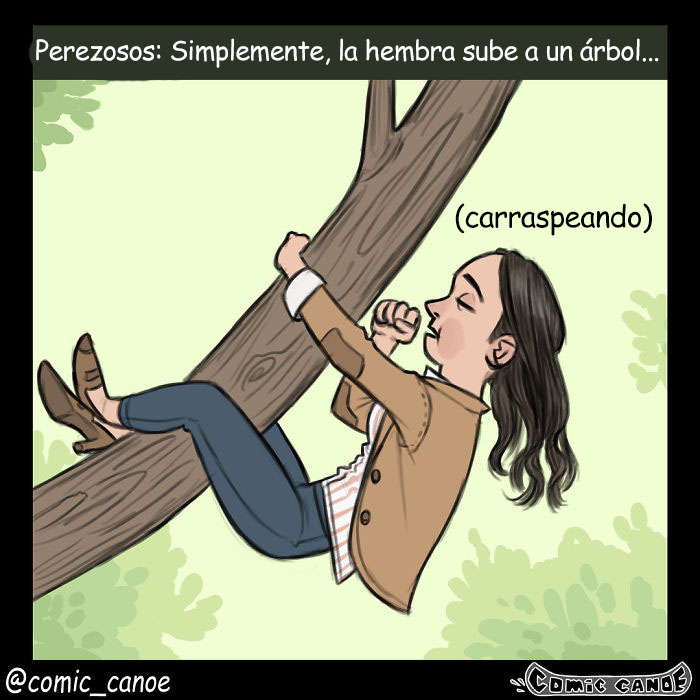 cortejoanimal-8