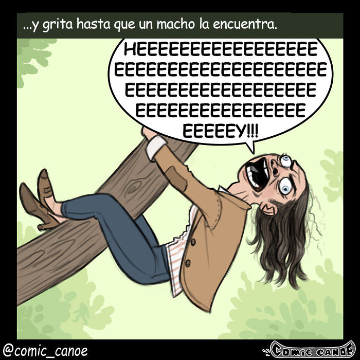 cortejoanimal-9