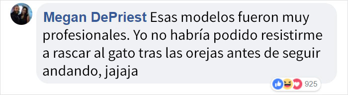 Se cuela un gato en una pasarela de moda y triunfa más que las modelos