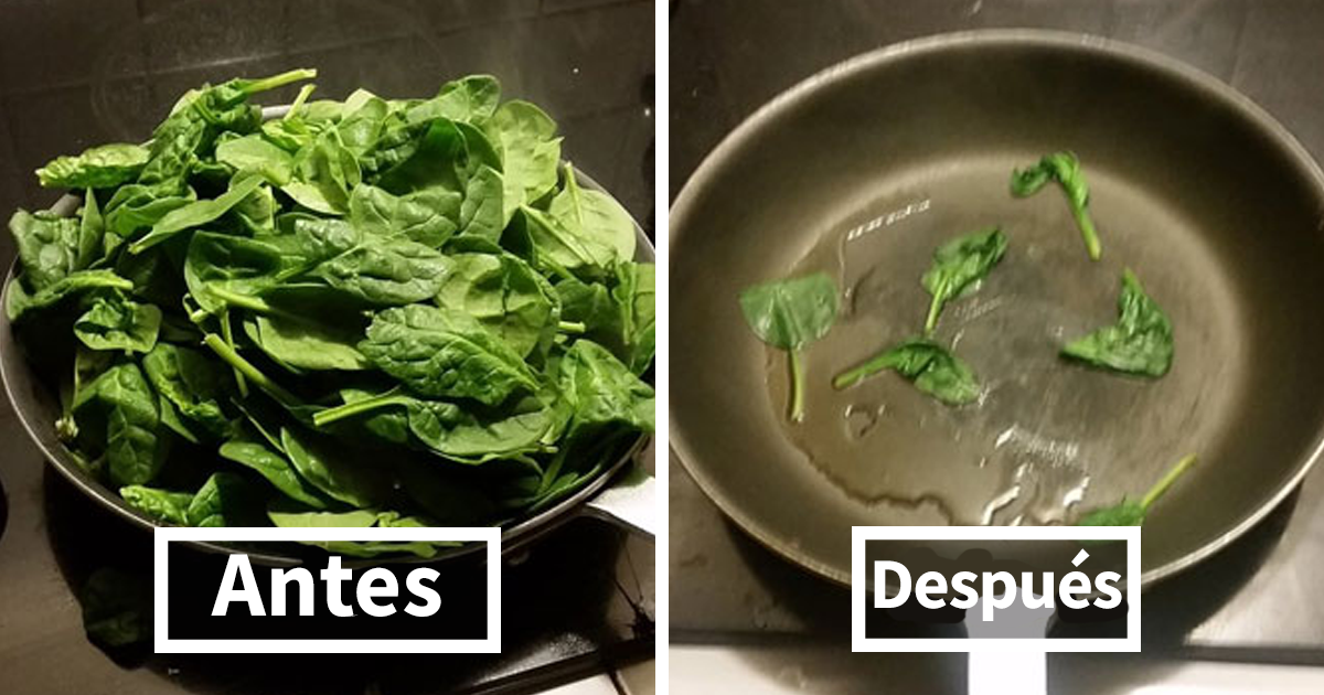 10+ Divertidos memes que no deberías ver mientras comes si no quieres atragantarte