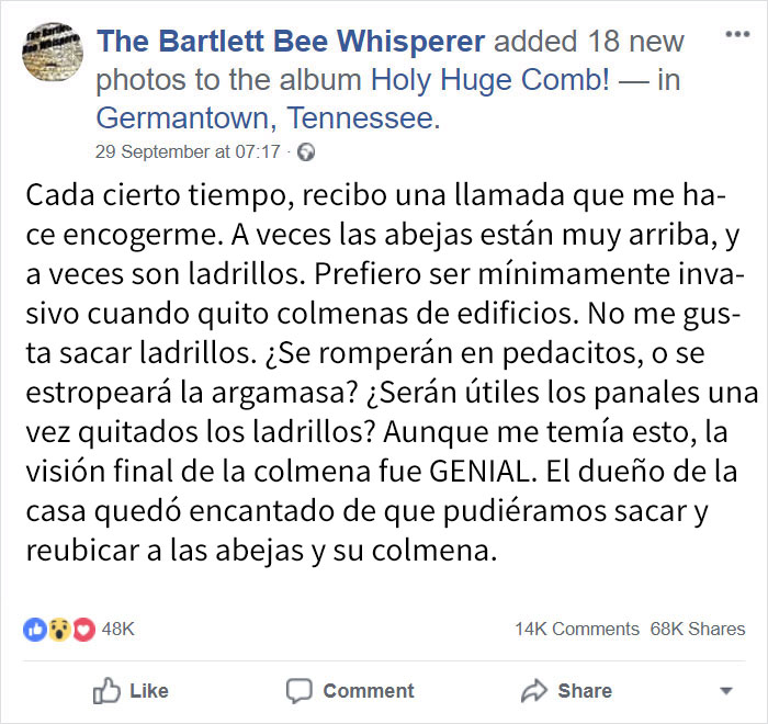 rescatabejas-0