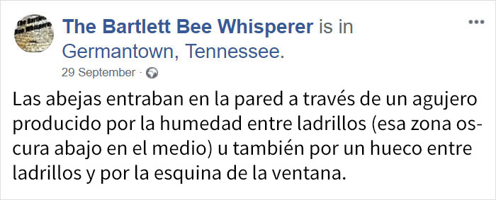 rescatabejas-1