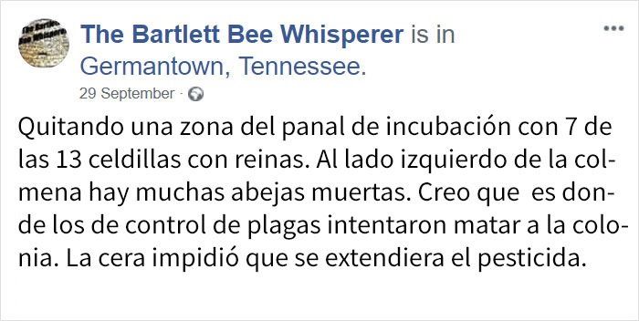 rescatabejas-10