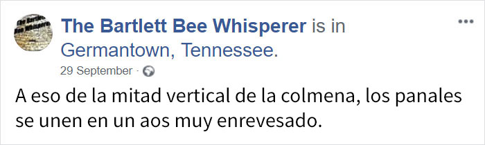 rescatabejas-12
