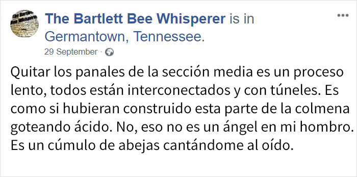 rescatabejas-13