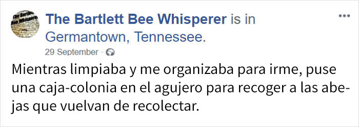 rescatabejas-16