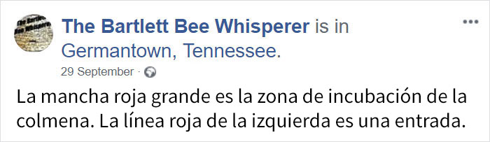 rescatabejas-2