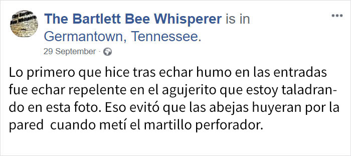 rescatabejas-3