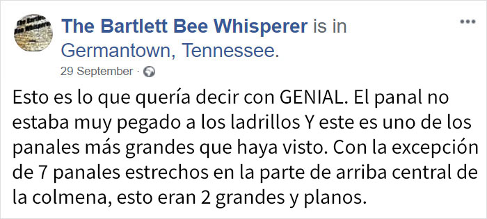 rescatabejas-8