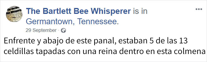 rescatabejas-9