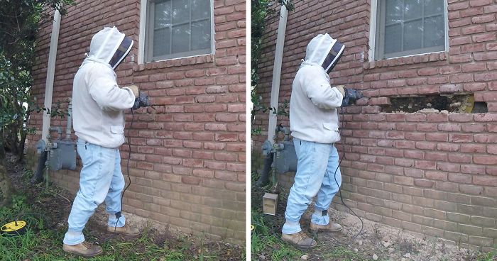 Este rescatador de abejas publica lo que encontró tras quitar ladrillos en casa de un cliente, y las fotos se han vuelto virales