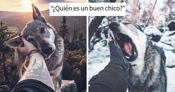 ¿Harto de las fotos de Instagram #FollowMeTo? Este hombre se lleva a su perro a dondequiera que vaya y es 1000 veces mejor