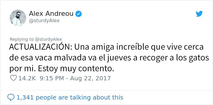 Este hombre fue rechazado como adoptante de un gato por ser gay, así que compartió los mensajes al respecto