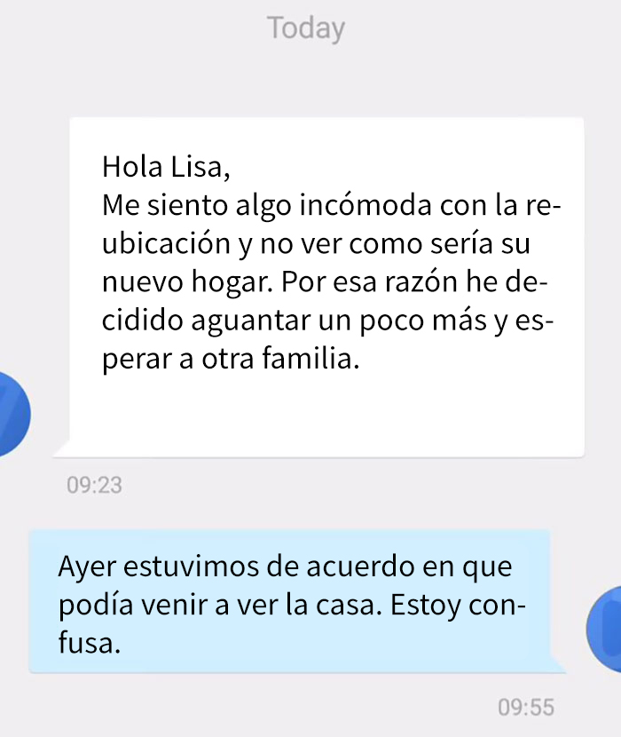 Este hombre fue rechazado como adoptante de un gato por ser gay, así que compartió los mensajes al respecto