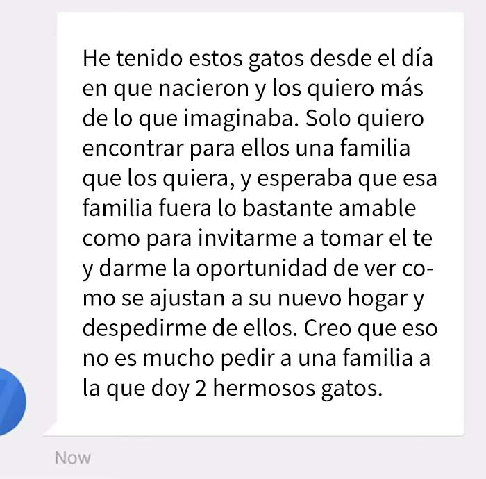 Este hombre fue rechazado como adoptante de un gato por ser gay, así que compartió los mensajes al respecto