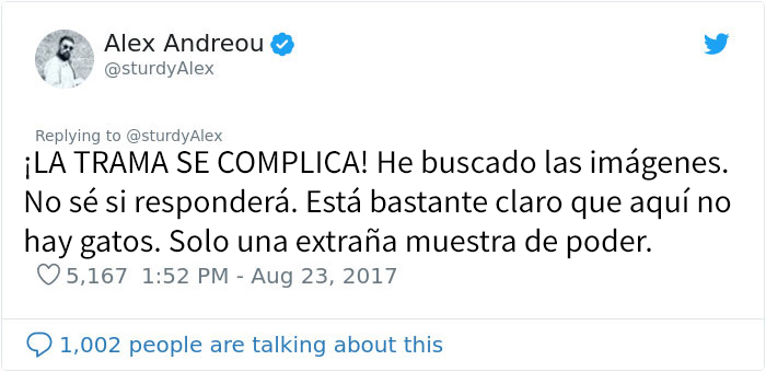 Este hombre fue rechazado como adoptante de un gato por ser gay, así que compartió los mensajes al respecto