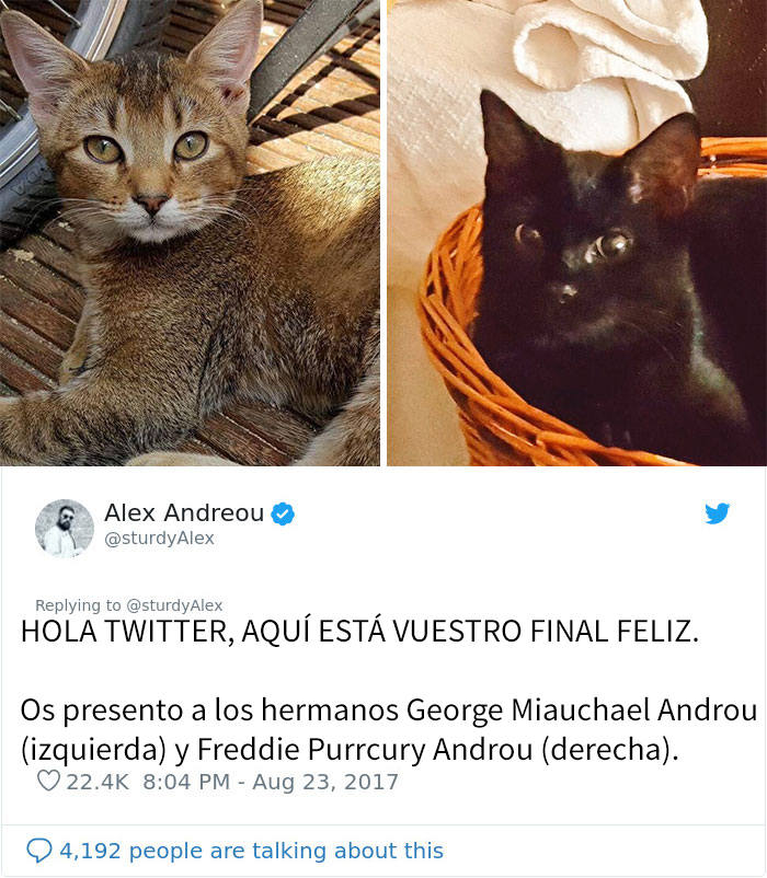 Este hombre fue rechazado como adoptante de un gato por ser gay, así que compartió los mensajes al respecto
