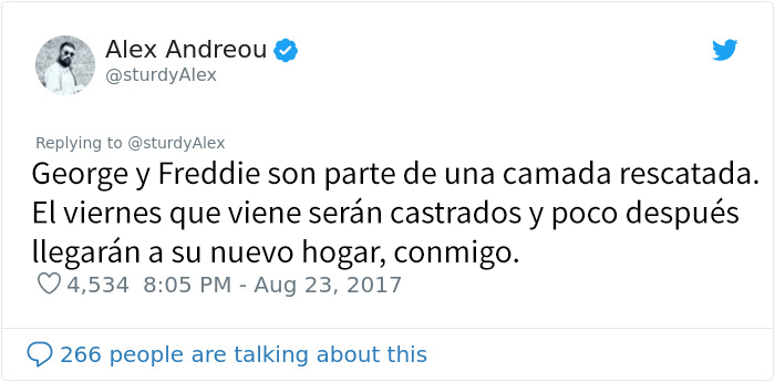 Este hombre fue rechazado como adoptante de un gato por ser gay, así que compartió los mensajes al respecto