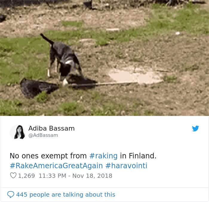 Nadie Se Libra De Rastrillar En Finlandia