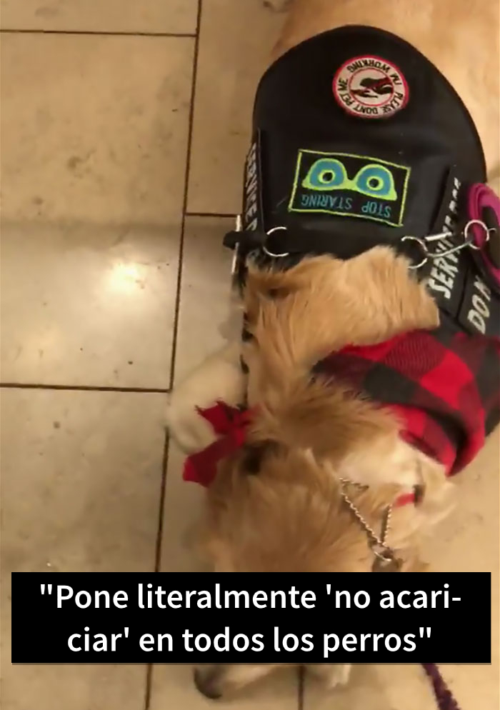 Esta madre "con derecho a todo" preguntó si su hijo podía acariciar un perro de servicio, pero no aceptó un "no" por respuesta