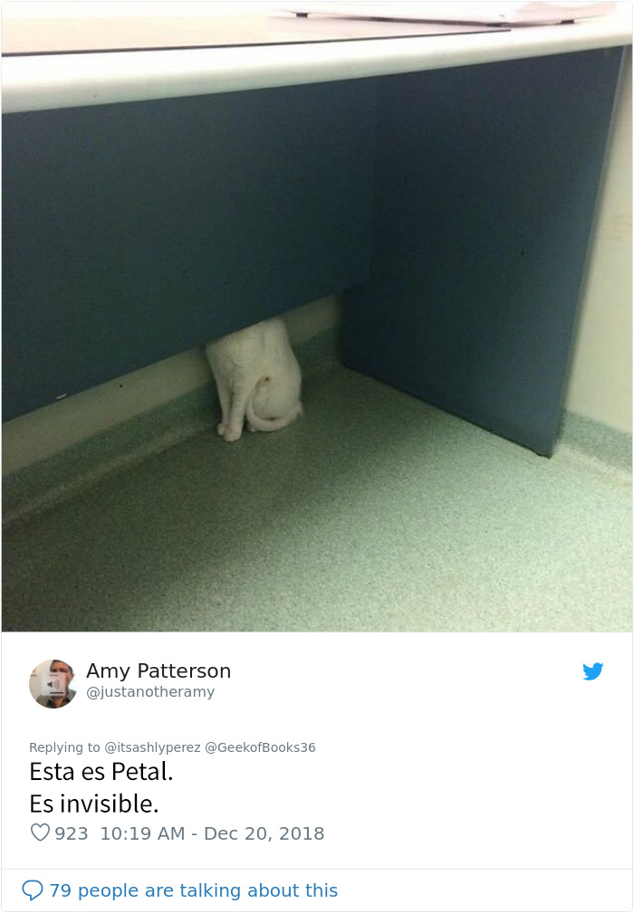 Alguien compartió una foto de su gato escondiéndose del veterinario, e internet respondió con sus propias y divertidas fotos
