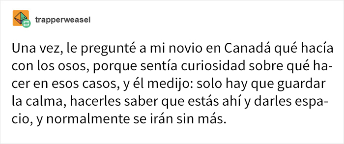 La gente se ríe con lo distinto que tratan a los osos los canadienses y los fineses