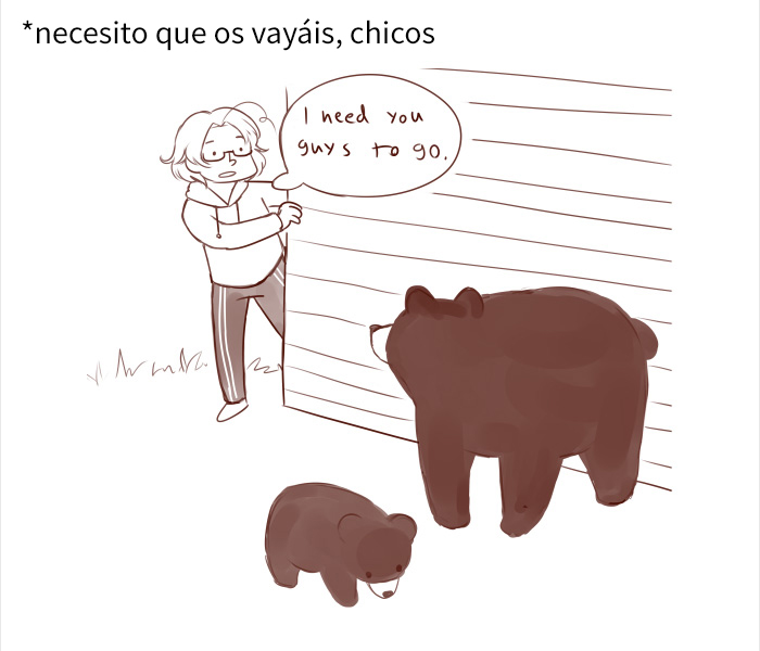 La gente se ríe con lo distinto que tratan a los osos los canadienses y los fineses