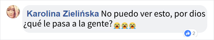 Este perro no se da cuenta de que ha sido abandonado e intenta volver al coche desesperadamente