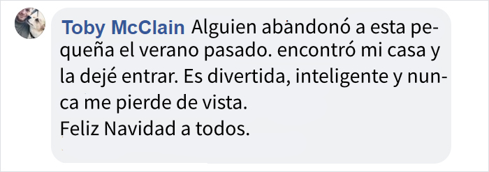 Este perro no se da cuenta de que ha sido abandonado e intenta volver al coche desesperadamente