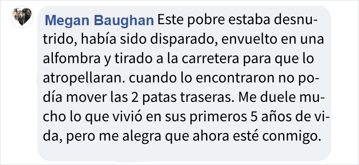 Este perro no se da cuenta de que ha sido abandonado e intenta volver al coche desesperadamente