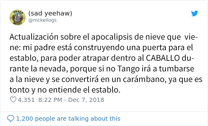 Este es Tango, el caballo más tonto que se está volviendo viral en Twitter