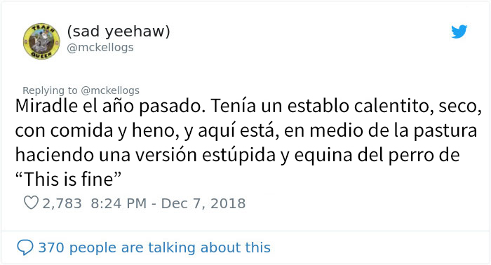 Este es Tango, el caballo más tonto que se está volviendo viral en Twitter
