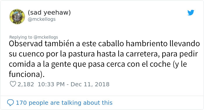 Este es Tango, el caballo más tonto que se está volviendo viral en Twitter