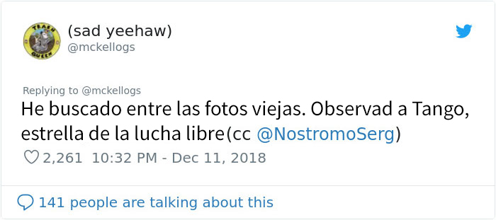 Este es Tango, el caballo más tonto que se está volviendo viral en Twitter