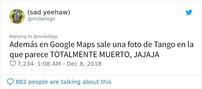 Este es Tango, el caballo más tonto que se está volviendo viral en Twitter