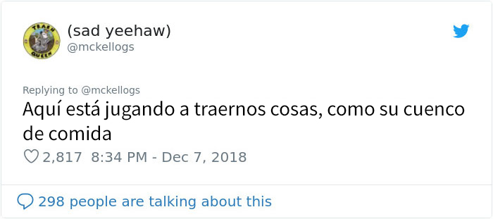 Este es Tango, el caballo más tonto que se está volviendo viral en Twitter