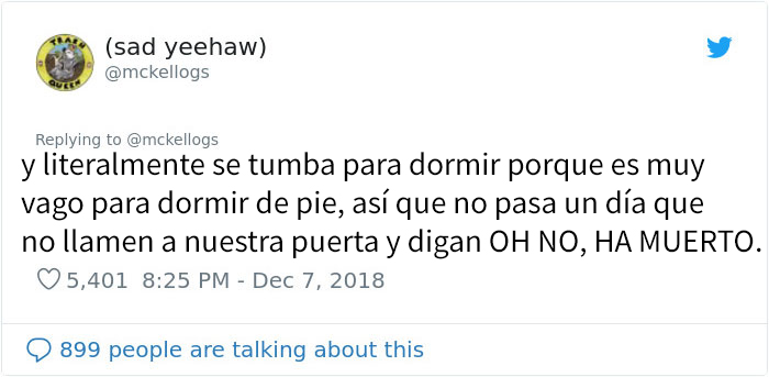Este es Tango, el caballo más tonto que se está volviendo viral en Twitter