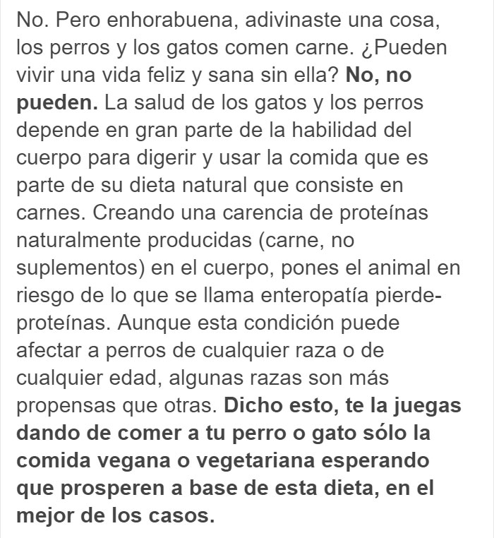 Las fotos de un labrador de dueña vegana, ‘entusiasmado’ por recibir una cena también vegana, son arruinadas por un veterinario