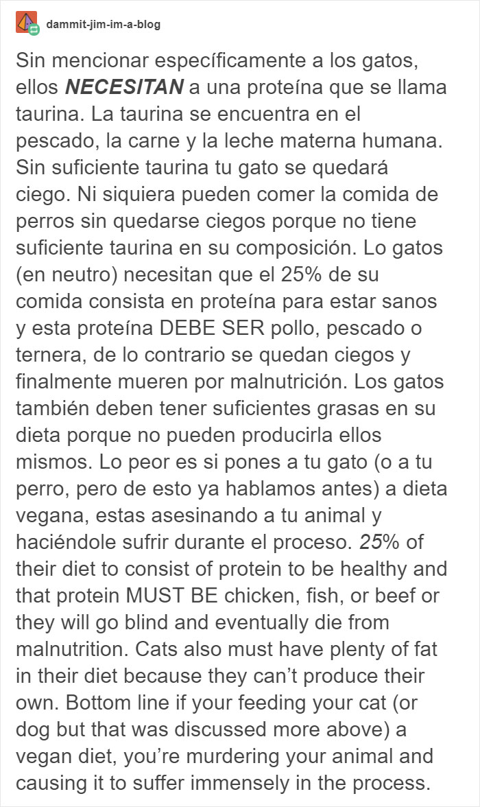 Las fotos de un labrador de dueña vegana, ‘entusiasmado’ por recibir una cena también vegana, son arruinadas por un veterinario