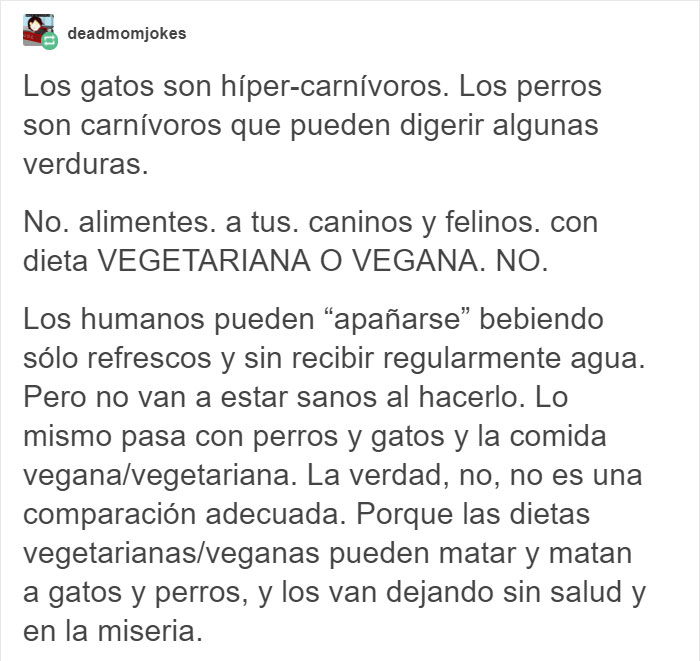 Las fotos de un labrador de dueña vegana, ‘entusiasmado’ por recibir una cena también vegana, son arruinadas por un veterinario